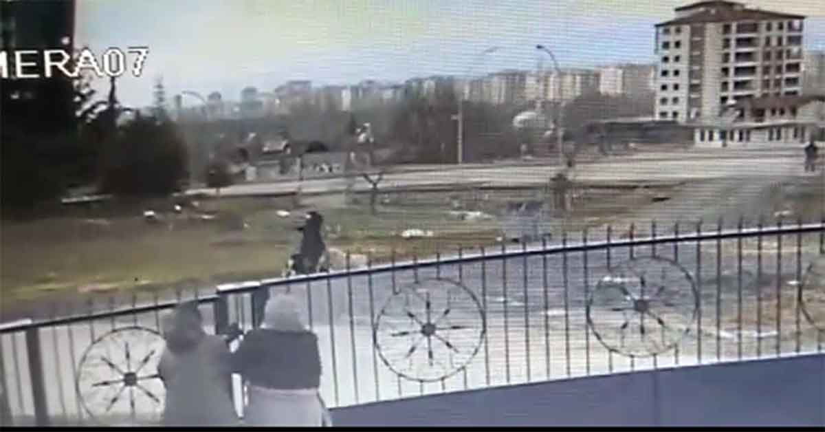 Sokak köpeklerinin saldırdığı kadın yaralandı