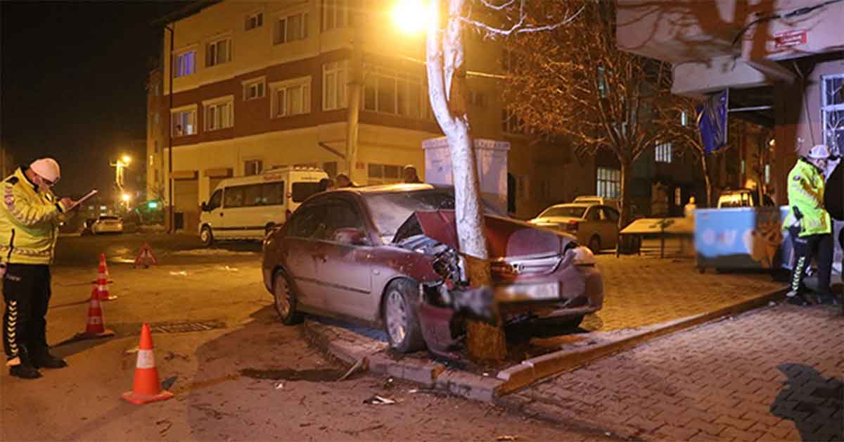 Otomobil hurdaya döndü, ağaç yerinden bile oynamadı