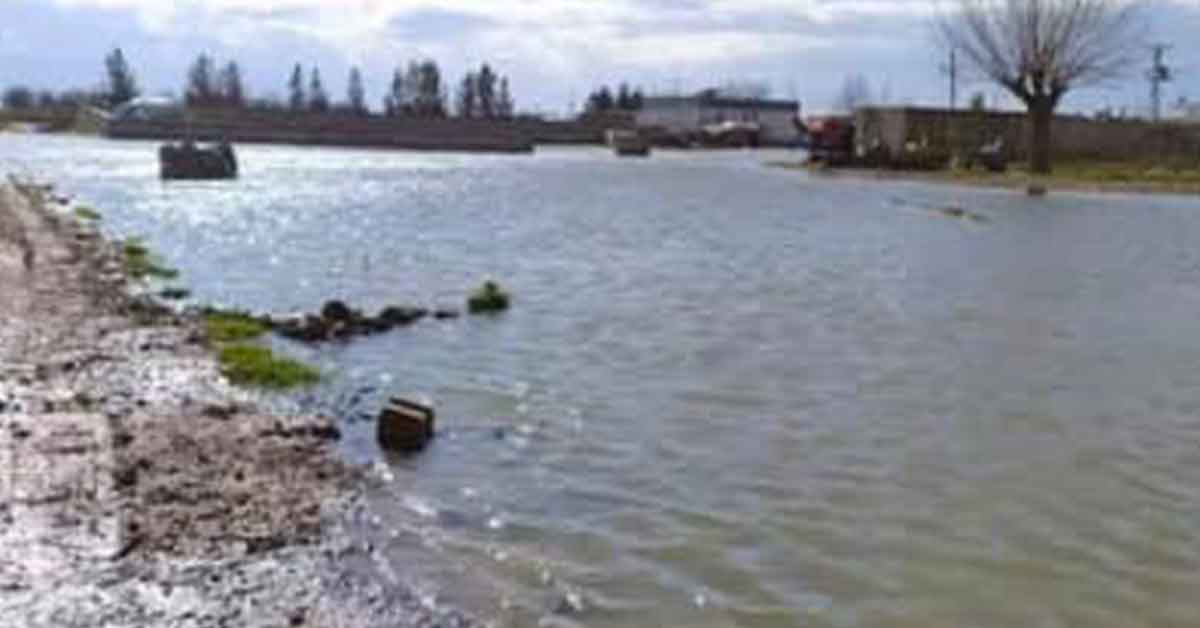Urfa'da Vatandaşlar Aylardır Bu Manzarayı İzliyor 1 Şanlıurfa Köy Yolu
