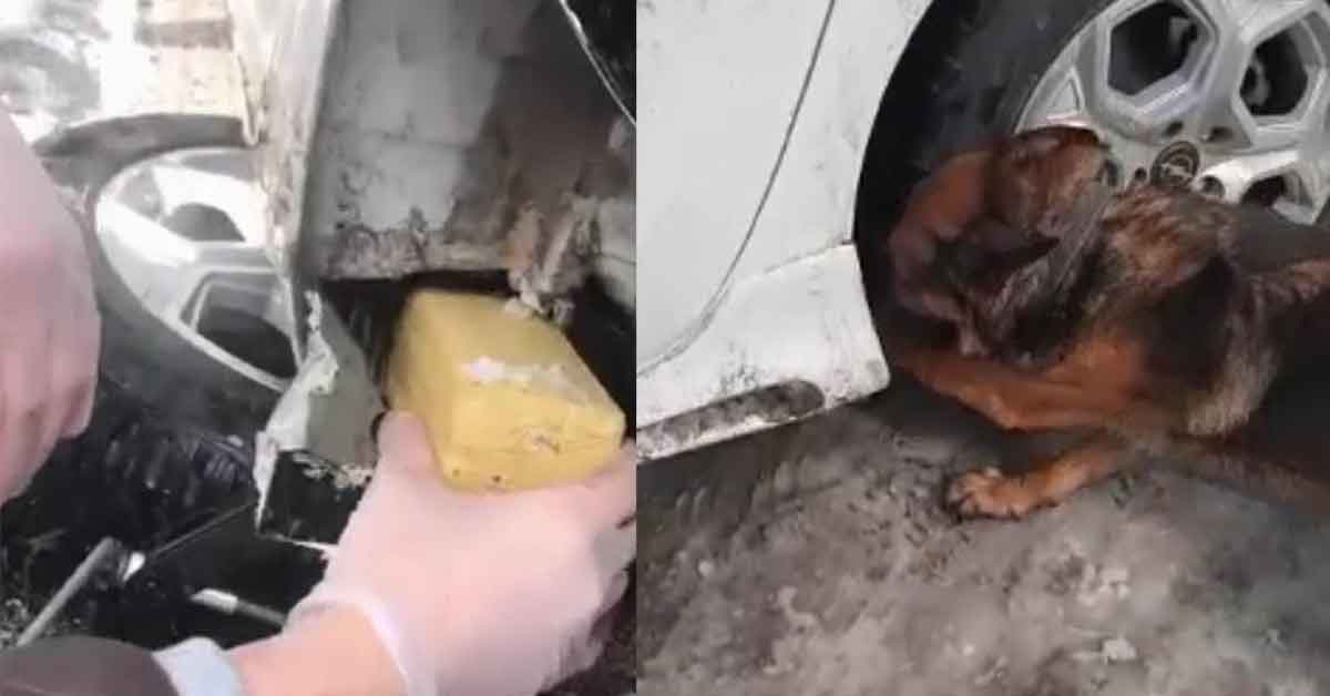 Otomobildeki zuladan 14 kilo 625 gram eroin çıktı