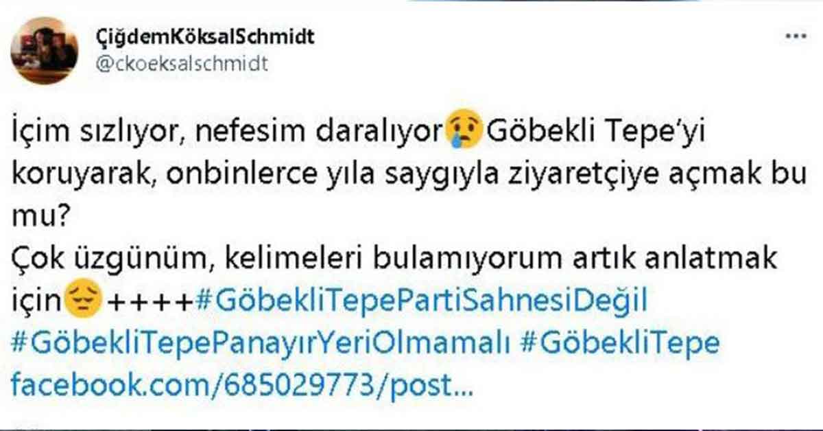 İtalyan DJ'in Göbeklitepe Performansı Kızdırdı 4 Göbeklitepe DJ