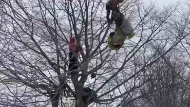Paraşütle düşen vatandaş ağacın tepesinde mahsur kaldı