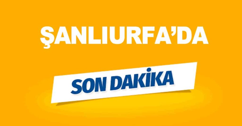 Urfa Oduncu Pazarında Kavga Bekçi Karnından Bıçaklandı 1 Son Dakika