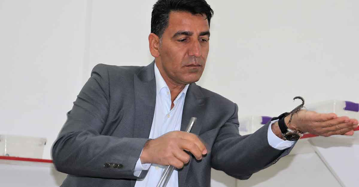 Şanlıurfalı “Akrep Ali” 10 yaşından beri kara akreplerle yaşıyor 1 Urfalı Ali 10 yaşından beri kara akreplerle yaşıyor