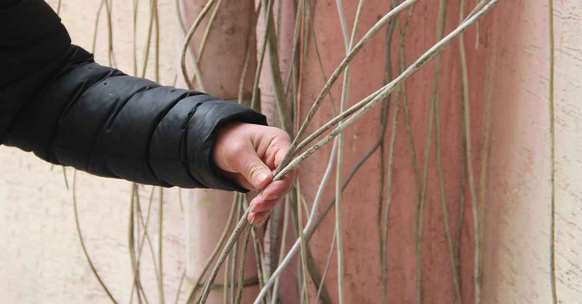 Şanlıurfa'da esnafın elektrik kabloları çalındı 3 Şanlıurfa'da esnafın elektrik kabloları çalındı
