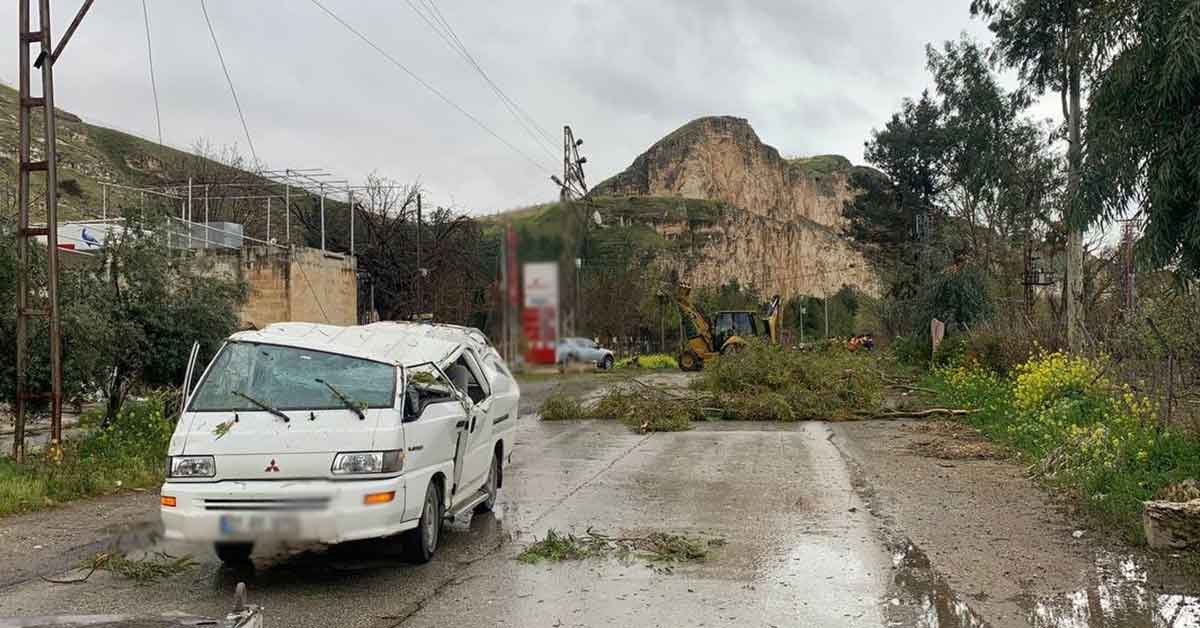 Urfa'da Fırtınada devrilen ağaçlar araçlara zarar verdi