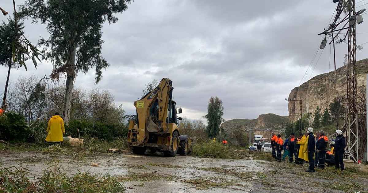 Urfa'da Fırtınada devrilen ağaçlar araçlara zarar verdi