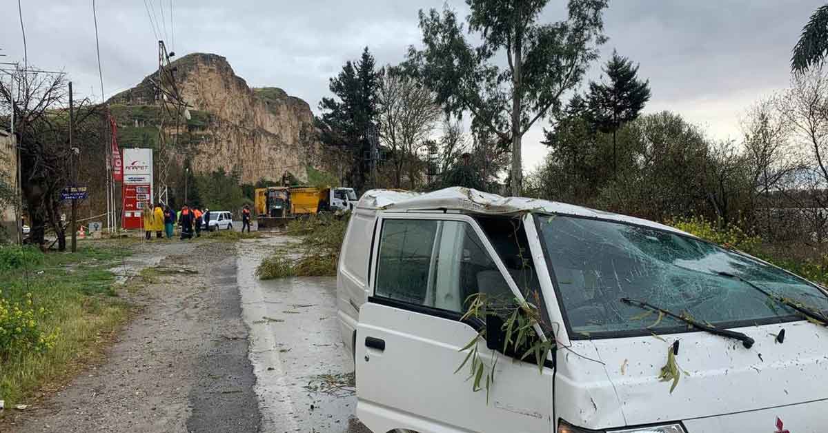 Urfa'da Fırtınada devrilen ağaçlar araçlara zarar verdi