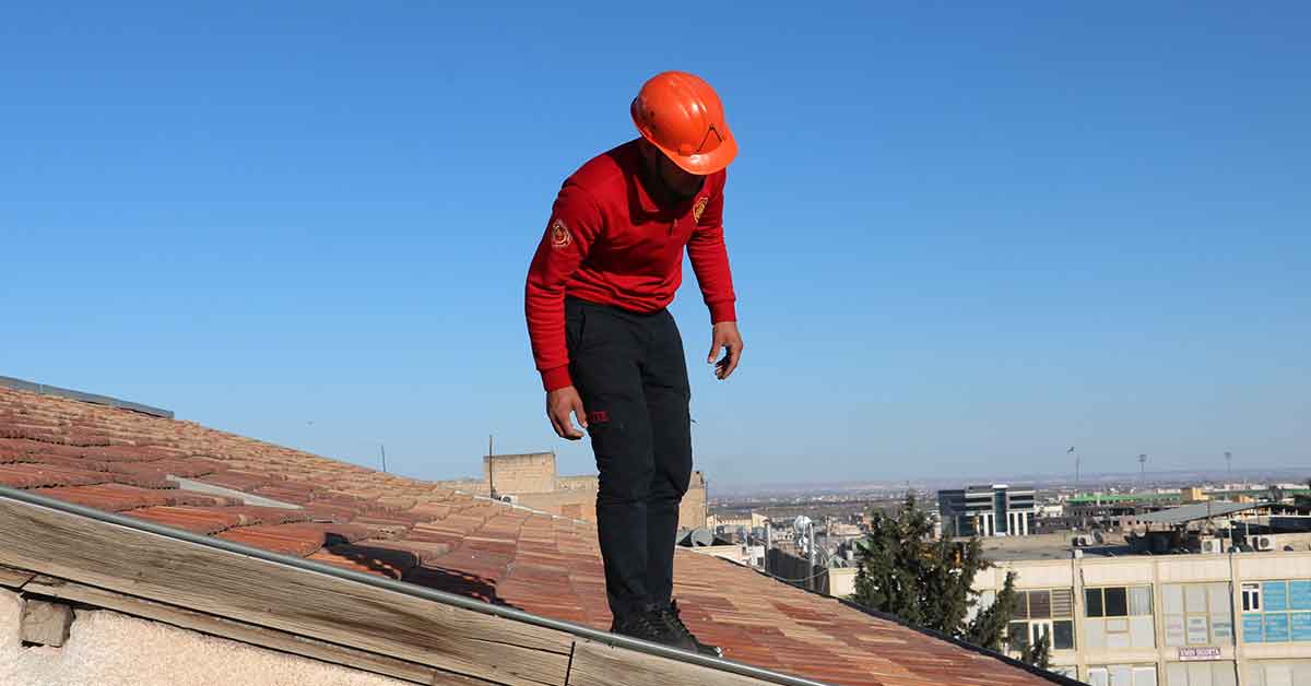 Urfa'da Ekipler kediyi kurtarmak için seferber oldu
