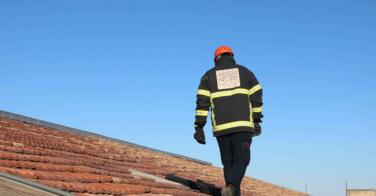 Urfa'da Ekipler kediyi kurtarmak için seferber oldu