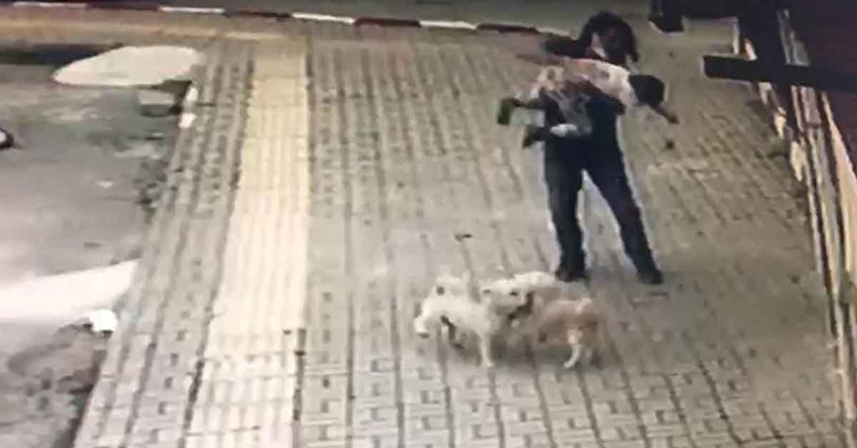 Dili boğazına kaçan çocuk ilk yardımla kurtarıldı 1 dili bogazina kacti