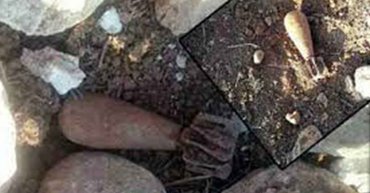 Şanlıurfa'da Oyun oynayan çocuklar havan mermisi buldu