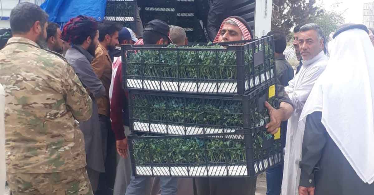 Süriyeli Çiftçiler Tarımsal Çeşitlilikle Destekleniyor