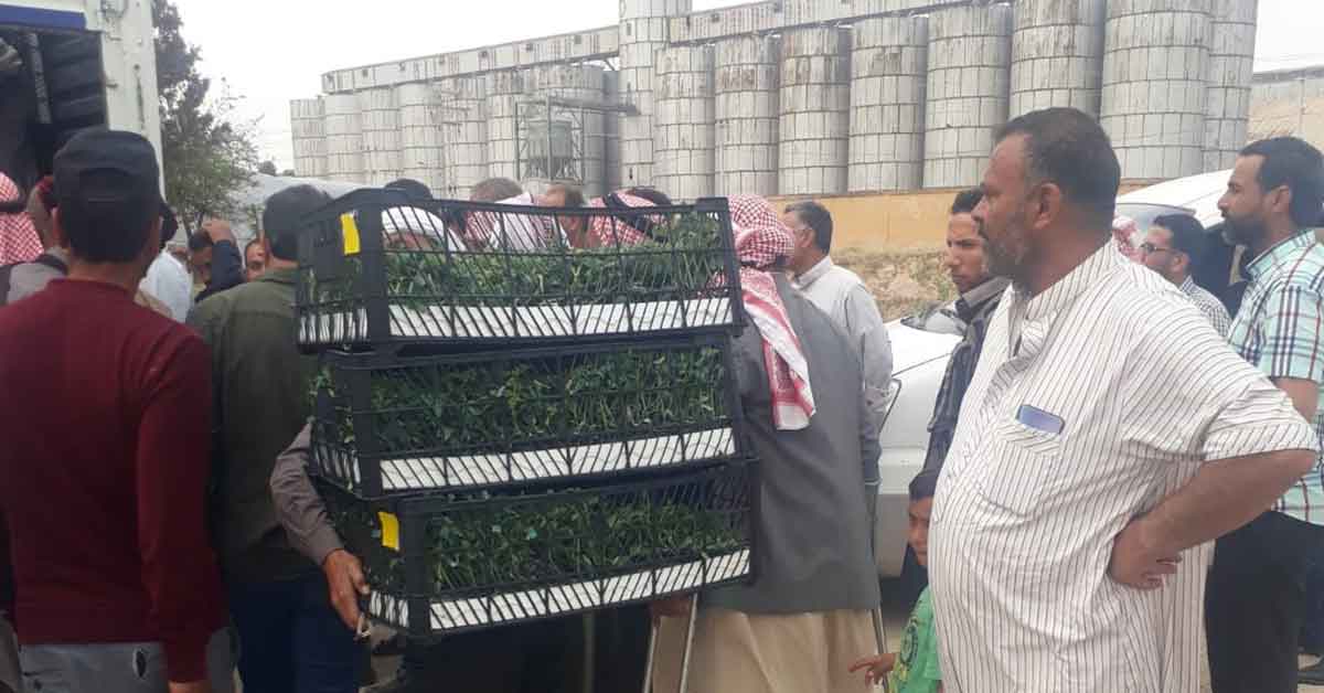 Süriyeli Çiftçiler Tarımsal Çeşitlilikle Destekleniyor