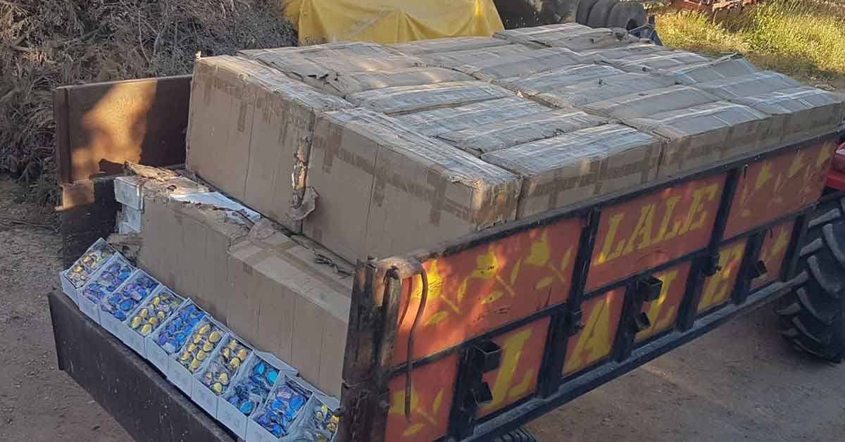 Urfa'da Jasat'tan kaçak gözlük operasyonu 2 Urfa'da Jasat'tan kaçak gözlük operasyonu