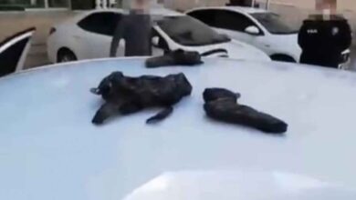 Photo of Urfa’da durdurulan otomobilde 18 tabanca ele geçirildi