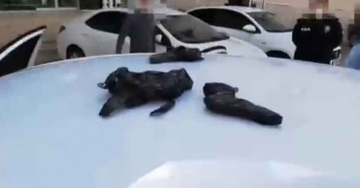 Urfa'da durdurulan otomobilde 18 tabanca ele geçirildi