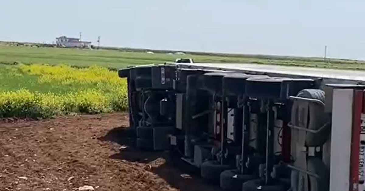 Urfa'da İran’a giden tavuk yüklü tır devrildi