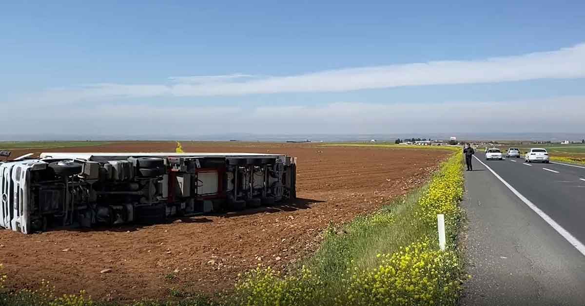 Urfa'da İran’a giden tavuk yüklü tır devrildi: 2 yaralı