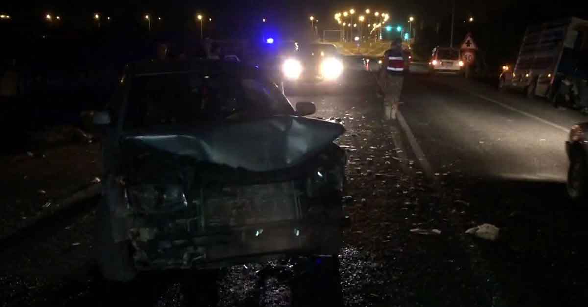 Urfa'da otomobil sürüye daldı, 29 hayvan telef oldu