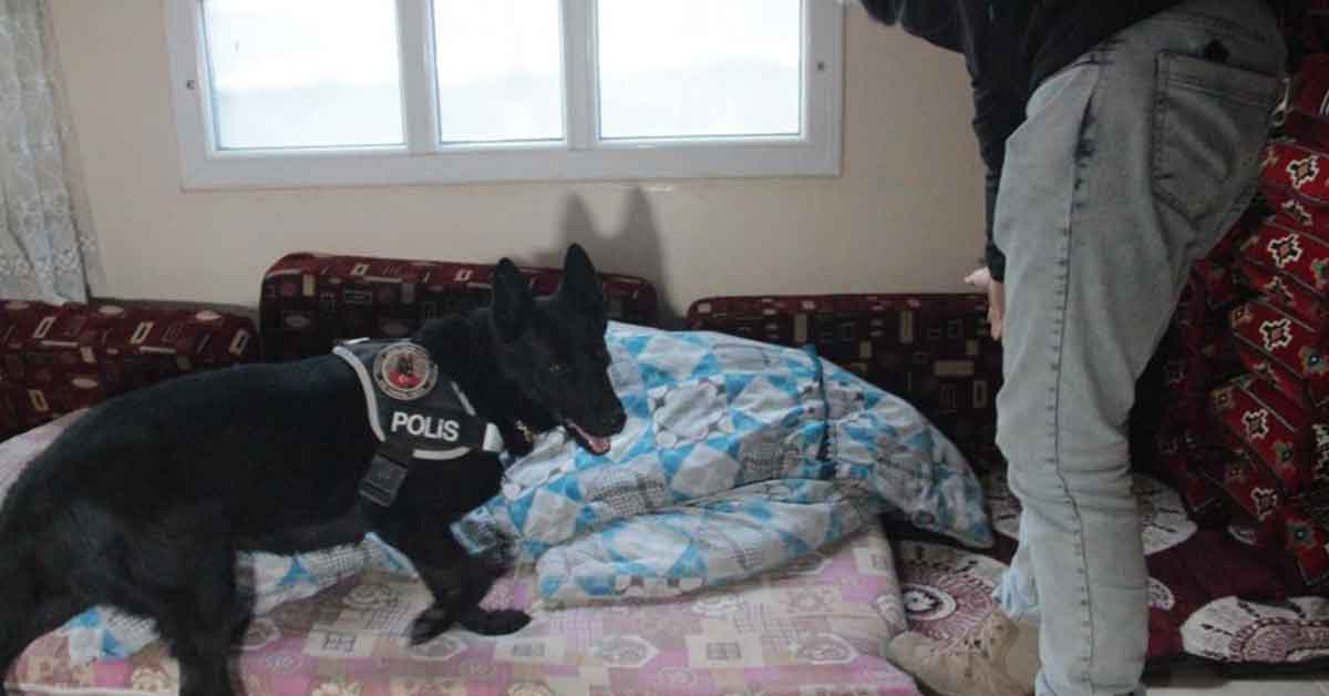 Urfa'da Uyuşturucu Operasyonu 2 uyusturucu urfa 3