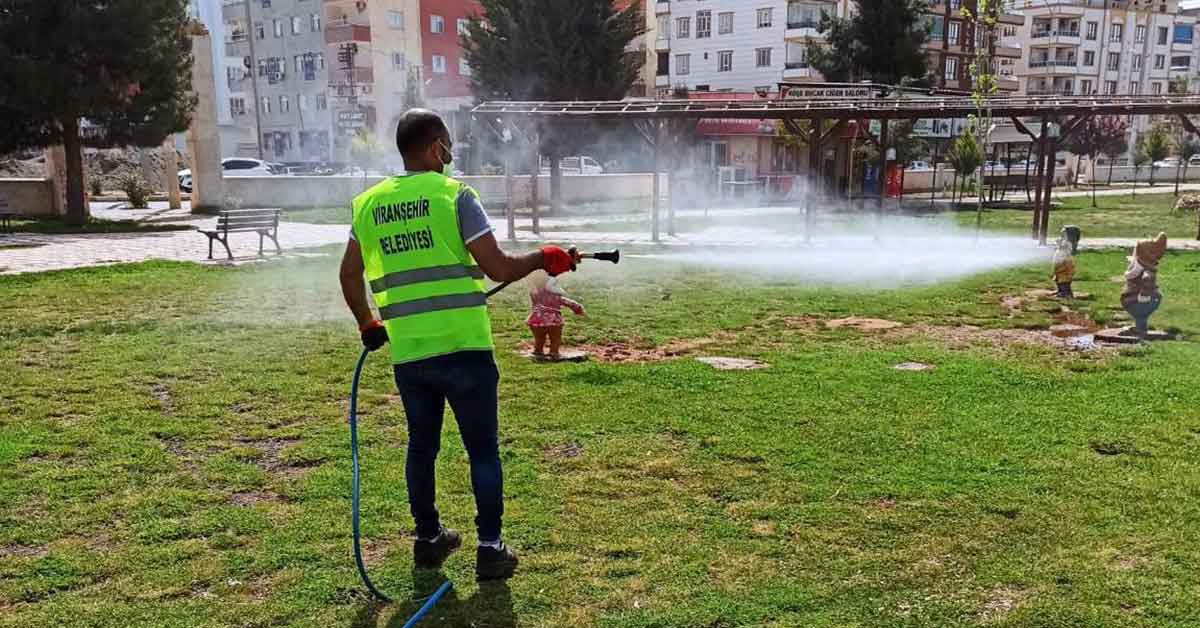 Havalar Isındı Haşerelerle Mücadele Başladı 1 Havalar Isındı Haşerelerle Mücadele Başladı