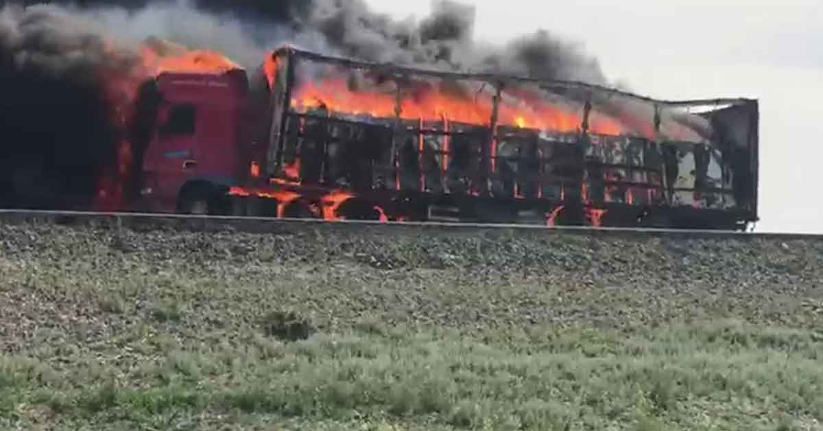 Beyaz eşya yüklü tır alev alev yandı