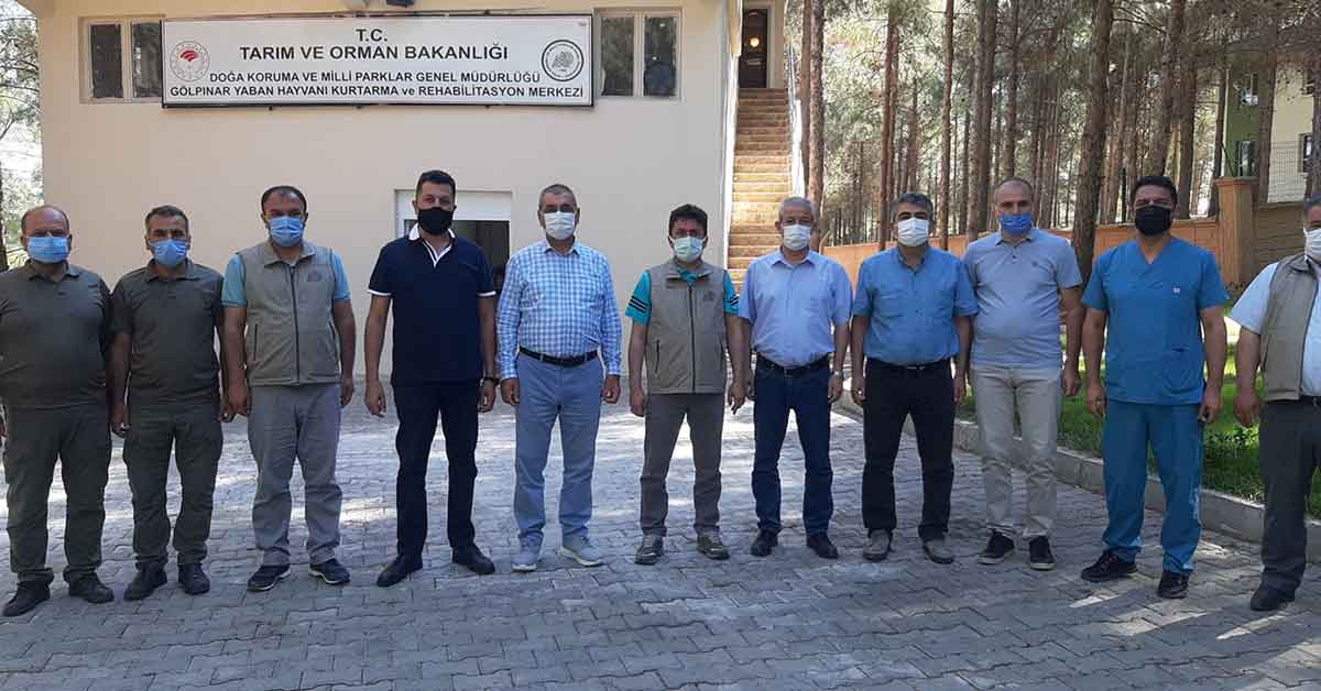 Bulut, Şanlıurfa'da İncelemelerde Bulundu 1 dkmp