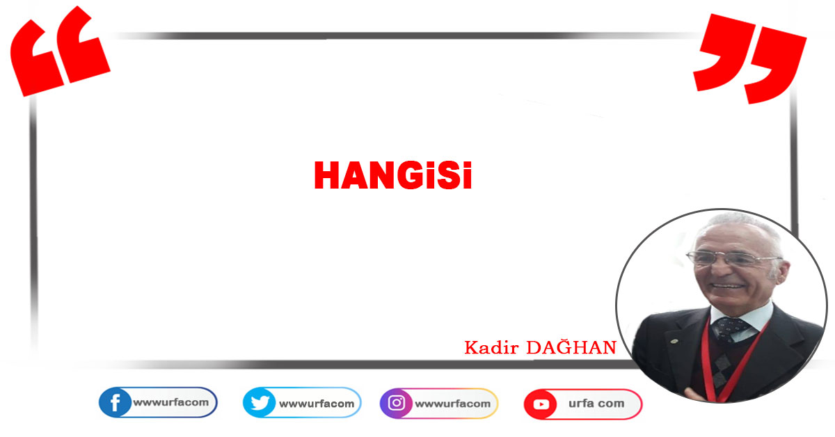 Hangisi 1 Hangisi