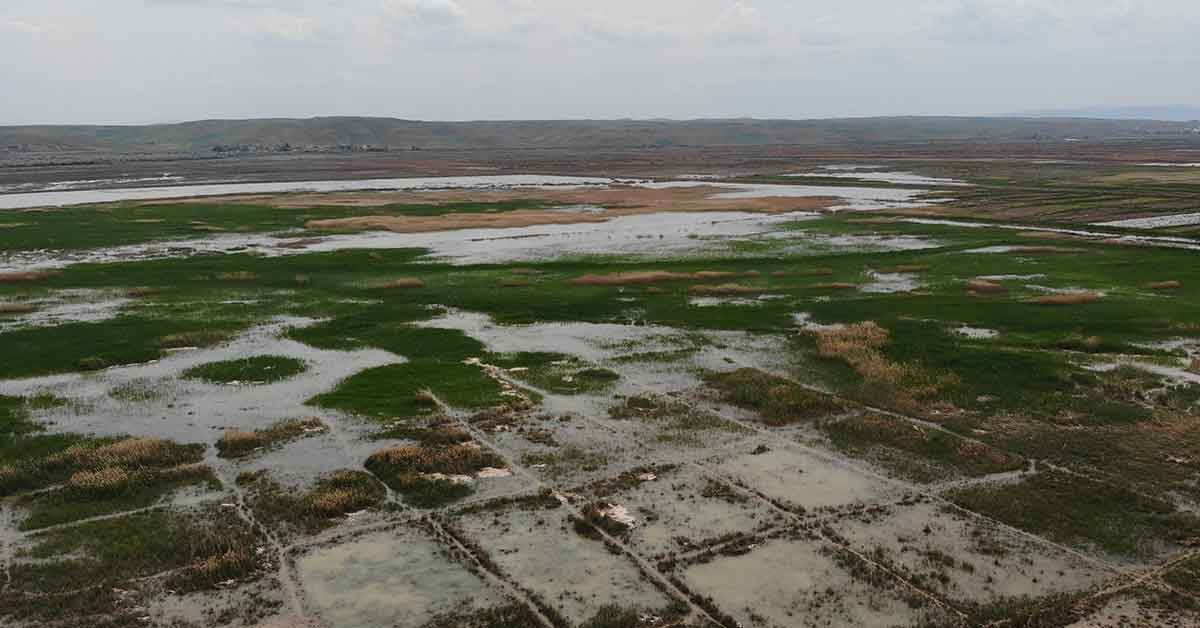 Sulama kanalının duvarı çöktü, 300 dönüm tarla sular altında 2 Sulama kanalının duvarı çöktü, 300 dönüm tarla sular altında