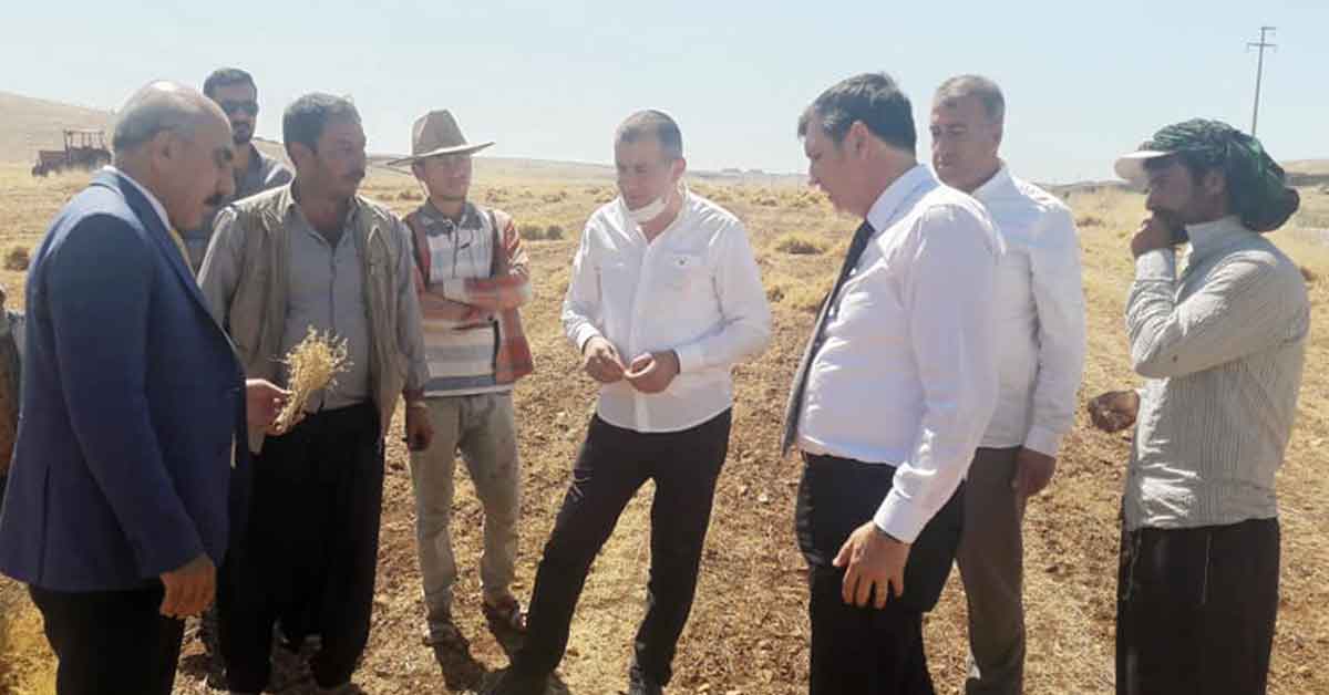 CHP Heyeti Tarlada Urfa Çiftçisini Dinledi