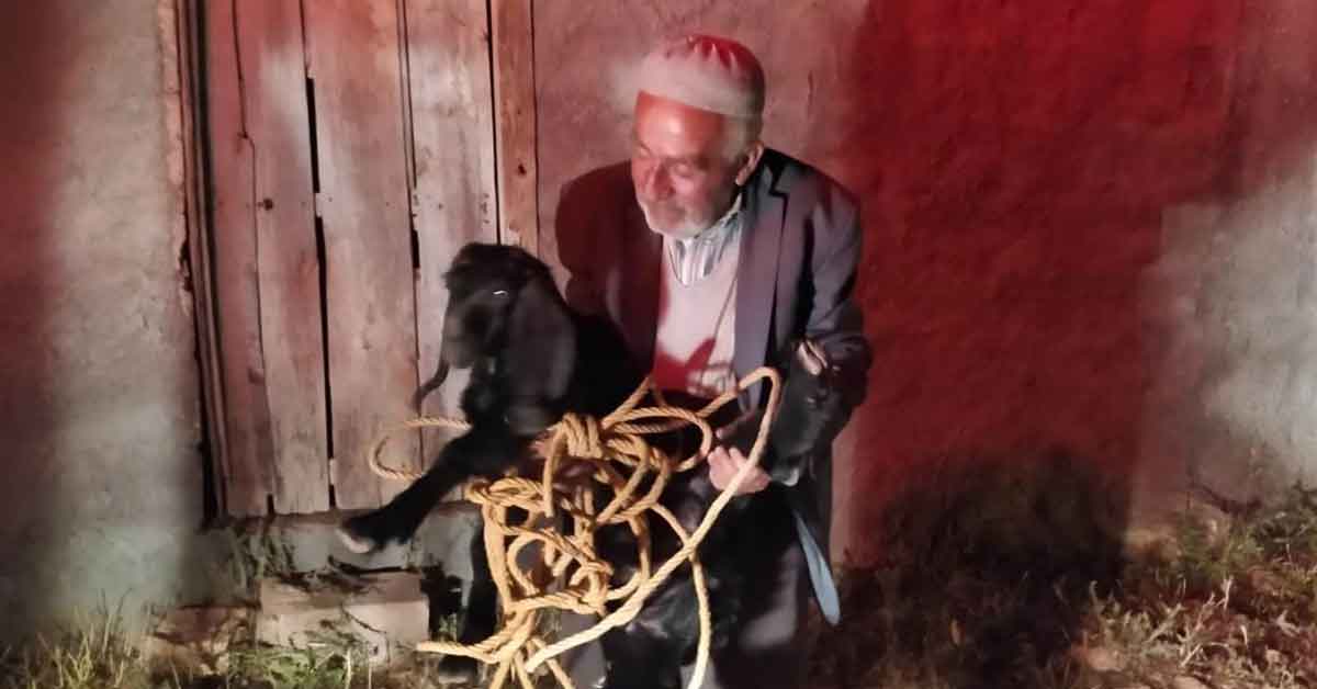 Şanlıurfa’da foseptik çukuruna düşen keçi kurtarıldı