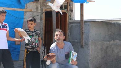 Urfa'da vatandaşlar kapanmada zamanını damda kuşlarla geçiriyor