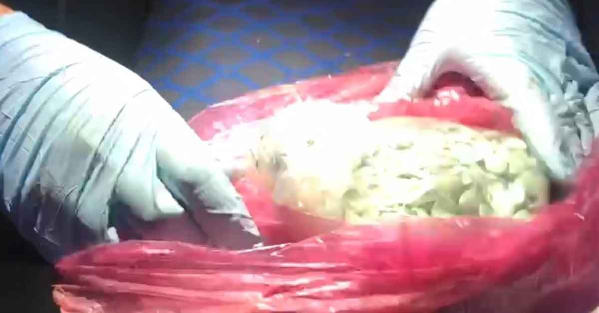 Akü kısmına gizlenen uyuşturucuları Alfa buldu