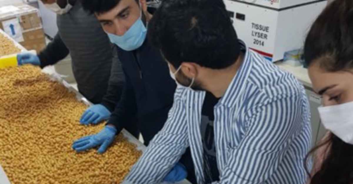 HRÜ'de Gen Bankası oluşturuldu