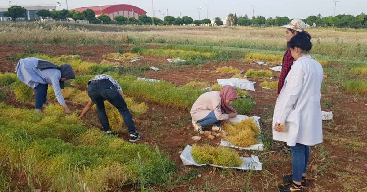 HRÜ, Tarımda Yeniliklerin Öncüsü Olmaya Devam Ediyor