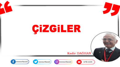 Photo of Çizgiler