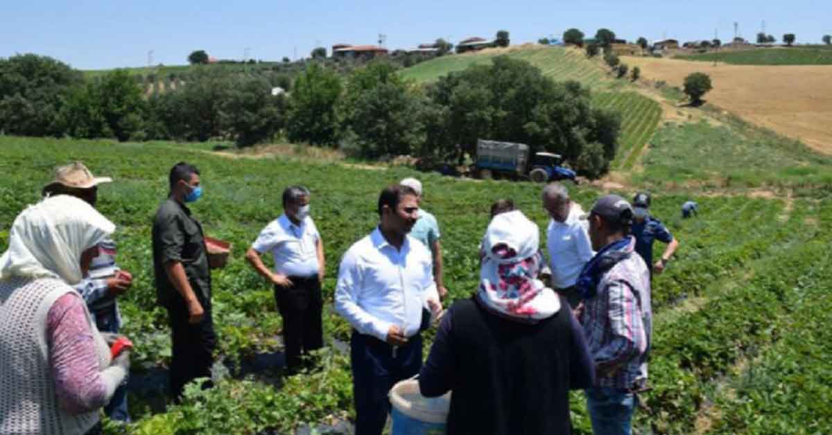 Mevsimlik İşçilerin Sorununa Urfalı Kaymakamdan Çözüm 1 Mevsimlik İşçilerin Sorununa Urfalı Kaymakamdan Çözüm