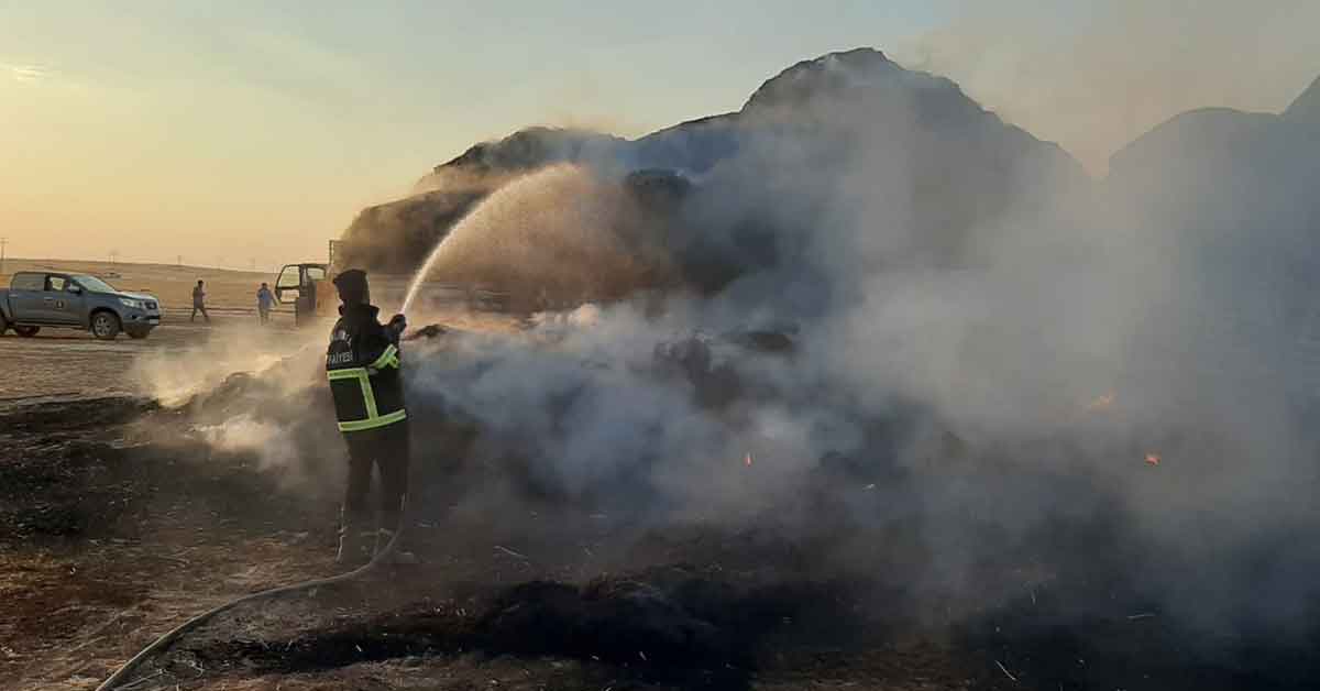 Şanlıurfa'da Korkutan Yangın! Tır Alev Aldı