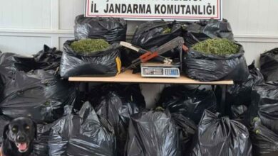 Şanlıurfa'da uyuşturucu operasyonu: 10 gözaltı