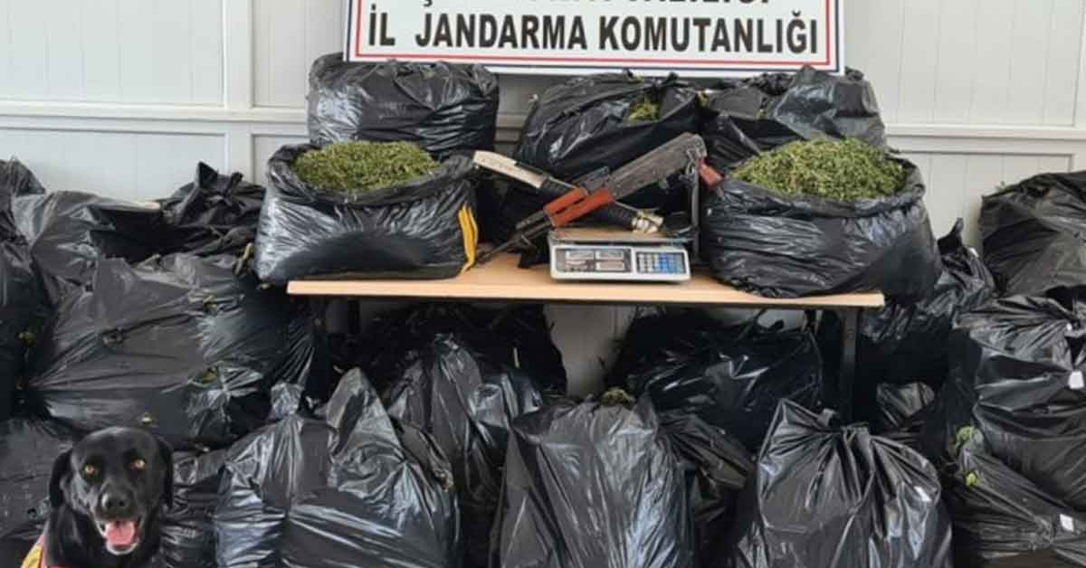 Şanlıurfa'da uyuşturucu operasyonu: 10 gözaltı