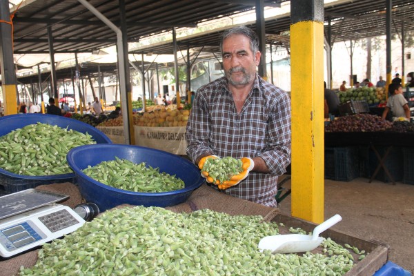 Urfa'nın vazgeçilmezleri den taze bamya tezgahlarda 1 20210806110532 55612 45647