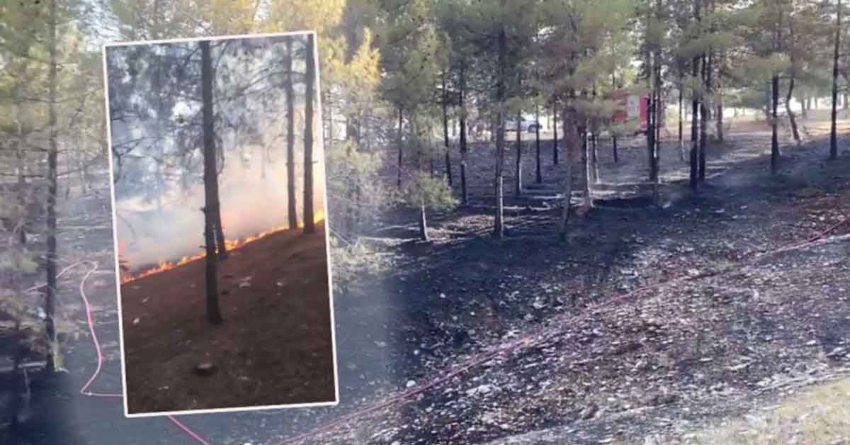 Urfa’daki Orman yangını kontrol altına alındı