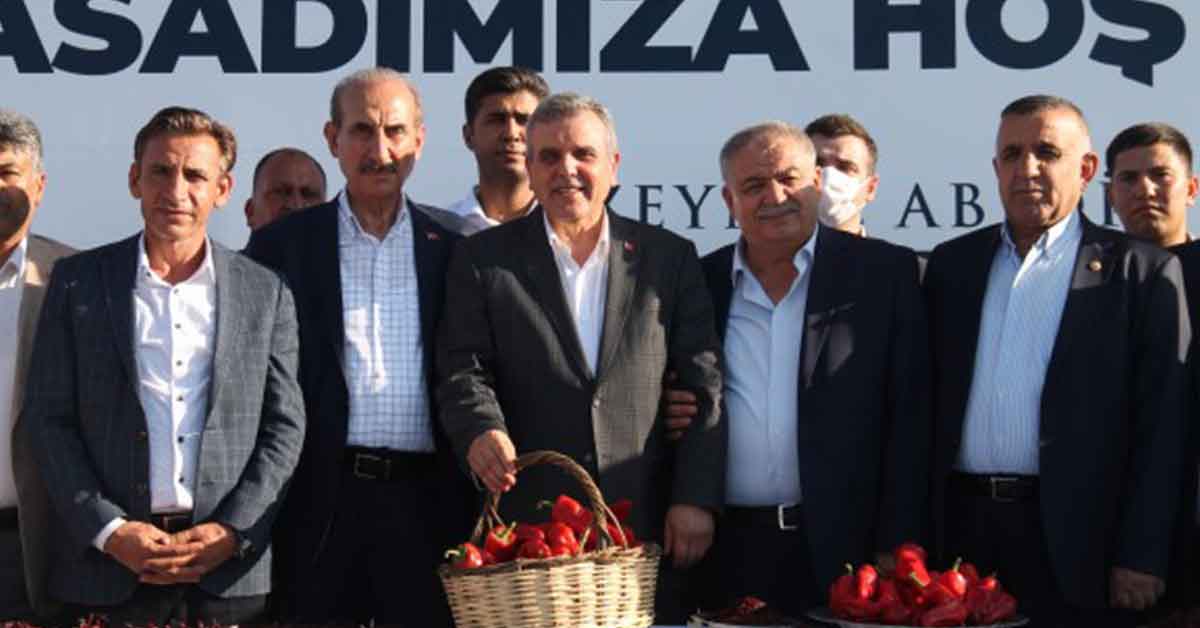 Zeynep Abidin Beyazgül isot tarlasına girdi