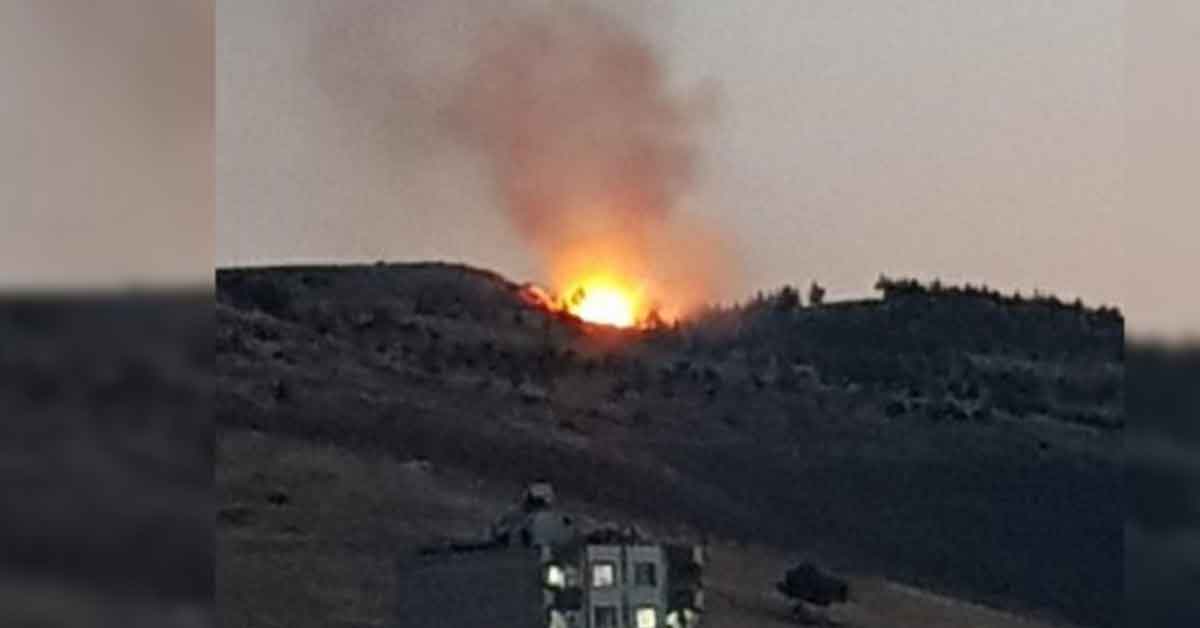Eyyubiye'deki ağaçlık alanda yangın 1 Eyyubiye'deki ağaçlık alanda yangın