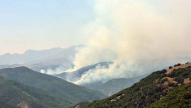 74 Barodan Tunceli'deki orman yangını için açıklama