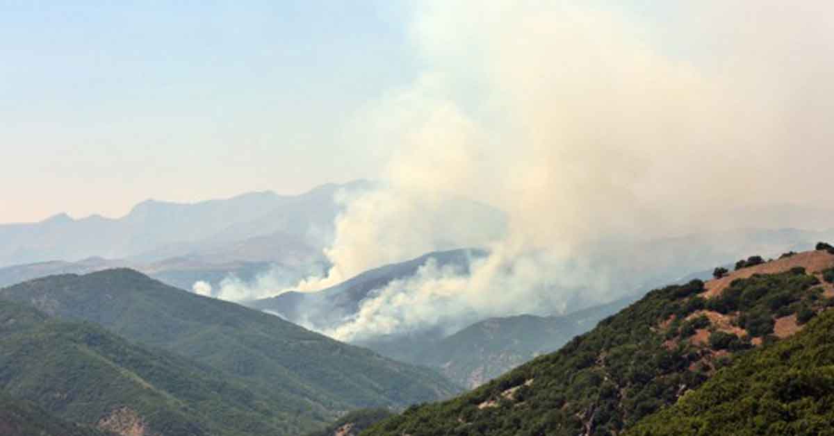 74 Barodan Tunceli'deki orman yangını için açıklama