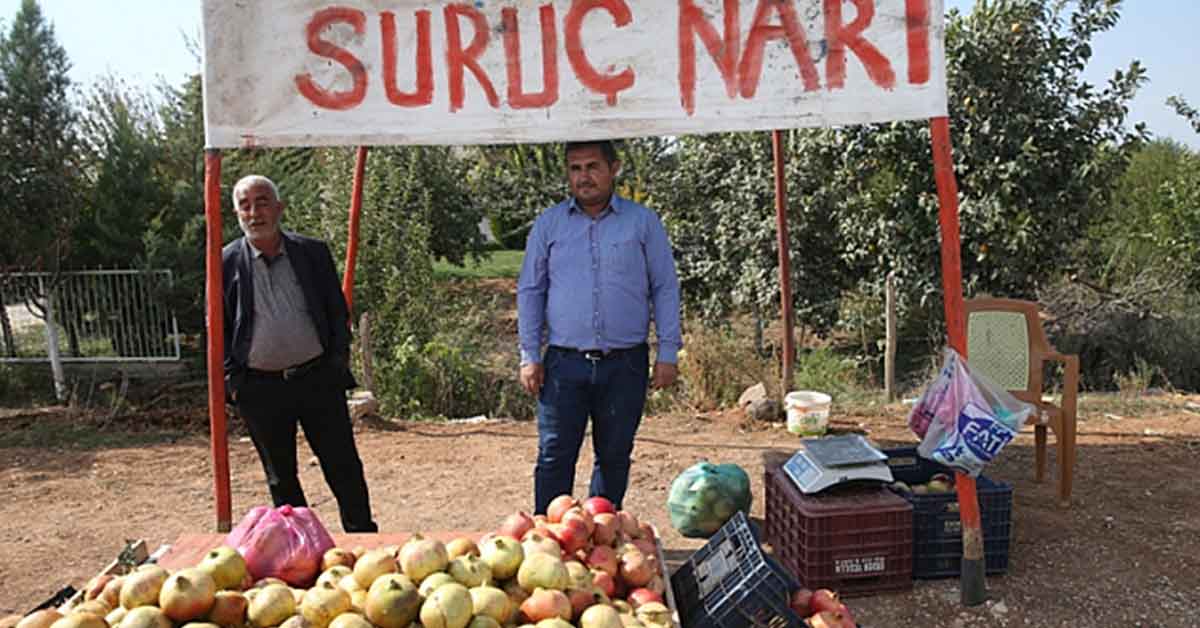 “Suruç Narı” Tescillendi 1 suruc nari tescil 1