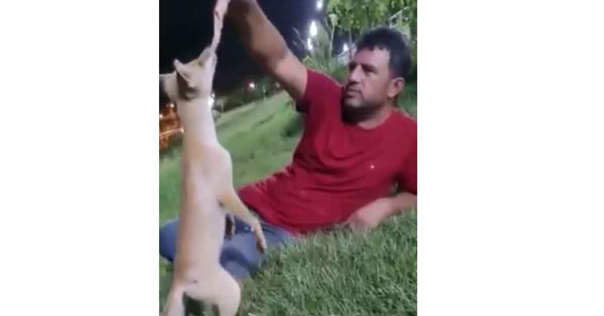 Tilkiyle Şanlıurfalının Yüzleri Gülümseten Dostluğu 1 tilki urfali