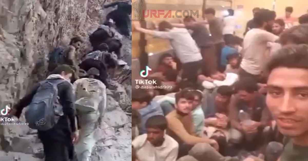 Urfa’dan Ankara’ya Tır Dorseleriyle Afgan Kaçakçılığı 1 urfa afgan kacak 1